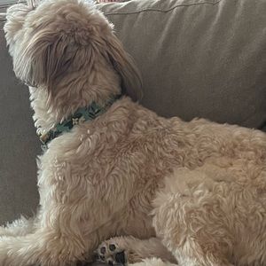 Meet your Posher, Andrew